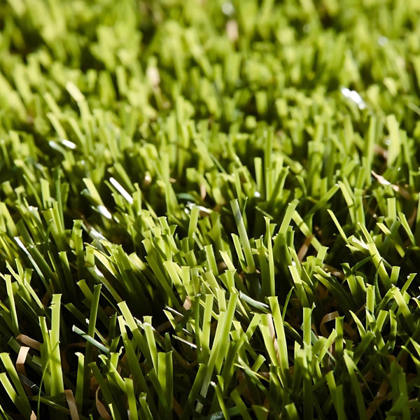 Sample - Rosemary 38mm Artificial Grass